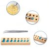 Empty Capsule Filling Kit 11 Pcs Gibtikoy Short Stem Funnels-3